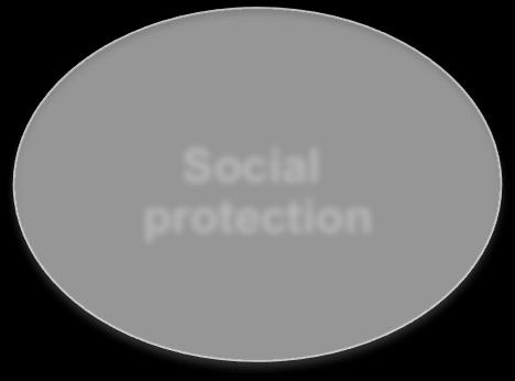 assets Social protection Strengthening control of parliament by