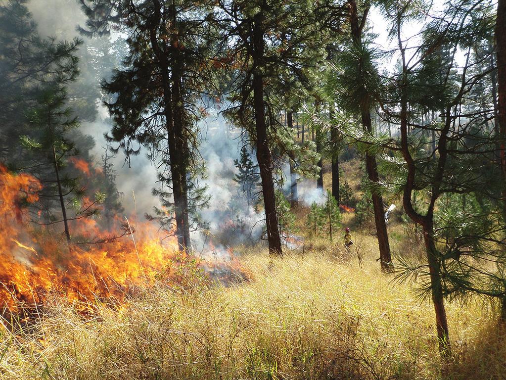 fire plays as a natural force and management tool. Some people still gravitate to the long tenured custom of fire suppression and preventing unwanted resource damage.