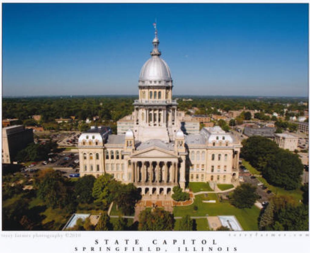 ILLINOIS STATE GOVERNMENT Article IV: STATE LEGISLATIVE BRANCH (BICAMERAL) General Assembly House of Representatives 118 members 2 year term Presiding Officer