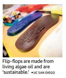 Page-18- Algae(श व ल)-based footwear developed by scientists Offers a sustainable