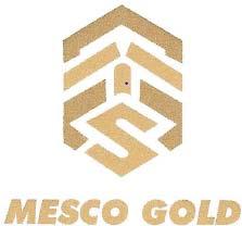 Private Sector MESCO GOLD Representative Name: Mr. Hersh Sharma Position: Chief Operating Officer Tel: 088 827 4500 Email: harshsharma@mescoteel.