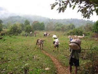 Approximately 50 M--- villagers, including men and women, portered rations to the camp at Gkleh Muh Hta on January 9 th.