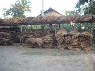 Maung Soe Myay demand 8,000 thatch shingles from L--- village.