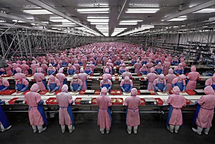 Modern social classes Workers at Foxconn plant in Chennai,