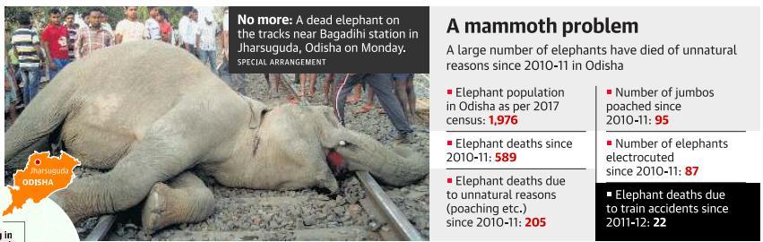 Prelims Focus Facts-News Analysis Four elephants run over