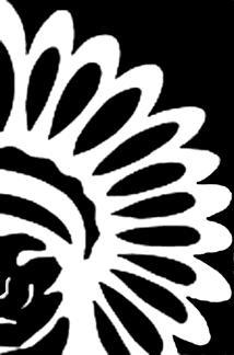 N A T I O N A L C O N G R E S S O F A M E R I C A N I N D I A N S May 20, 2013 E X ECUT IV E COMMIT T E E PRESIDENT Jefferson Keel Chickasaw Nation FIRST VICE-PRESIDENT Juana Majel Dixon Pauma Band