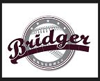 Article I Organization 1. The name of the organization shall be Bridger Baseball 2. The organization shall have a seal (or Logo) which can be any of the following. Article II Mission 1.