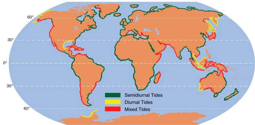 Figure 3. Mixed tides have multiple low and high tides throughout a tidal day (Pidwirny, 1999). Figure 4. The global distribution of tides (Pidwirny, 1999).