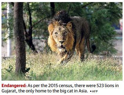Prelims Focus Facts-News Analysis HC issues notices to Gujarat, Centre on deaths of 184 lions Seeks explanation for high number, preventive steps Taking serious note of the death of 184 lions in the