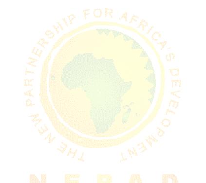 THE AFRICAN PEER REVIEW MECHNISM (APRM) Presentation at the 4 th Pan-African Conference of