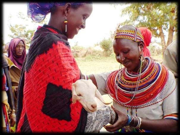 Livestock banking is the catalyst and the women are the agents of peace.