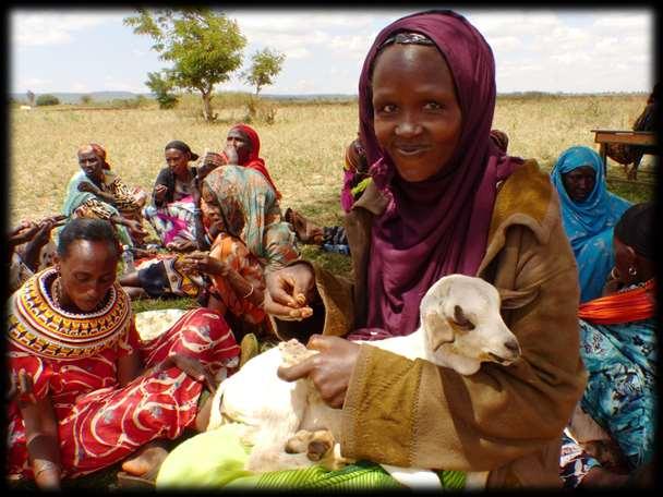 Primary indicator of peace: Pass-on of livestock to the other tribe Picture shows a Borana