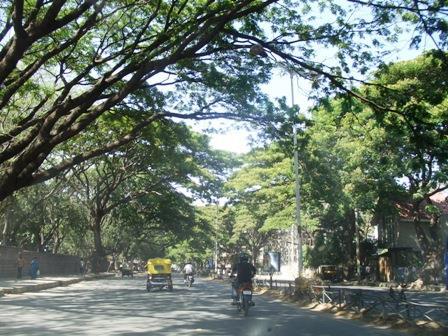 And so I want exemption from your Tree Act, then we got together to stop this whole road widening business.