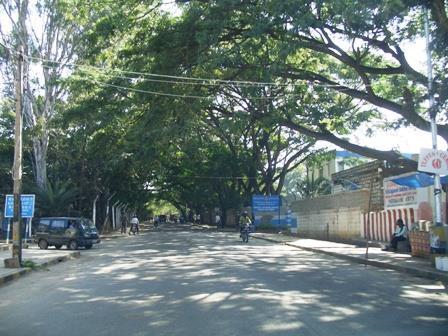 Residency Road. We held hands and circled the trees. Picture 5.1. A tree-lined street in the Matikere locality Picture 5.2.