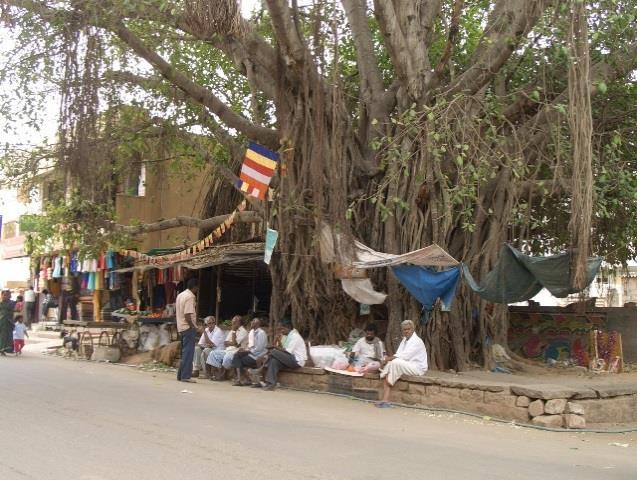 Somberi katte or idler s platform on the main street of Bellandur village where people socialize under the shade of a banyan tree (20