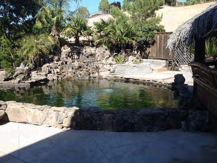 Koi Pond, Water Feature Construction