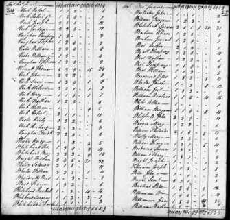 19 The New Republic The Washington Administration First Census *Population nearly 4 million in 1790 census: *About 90% of Americans lived on farms Public debt was enormous;