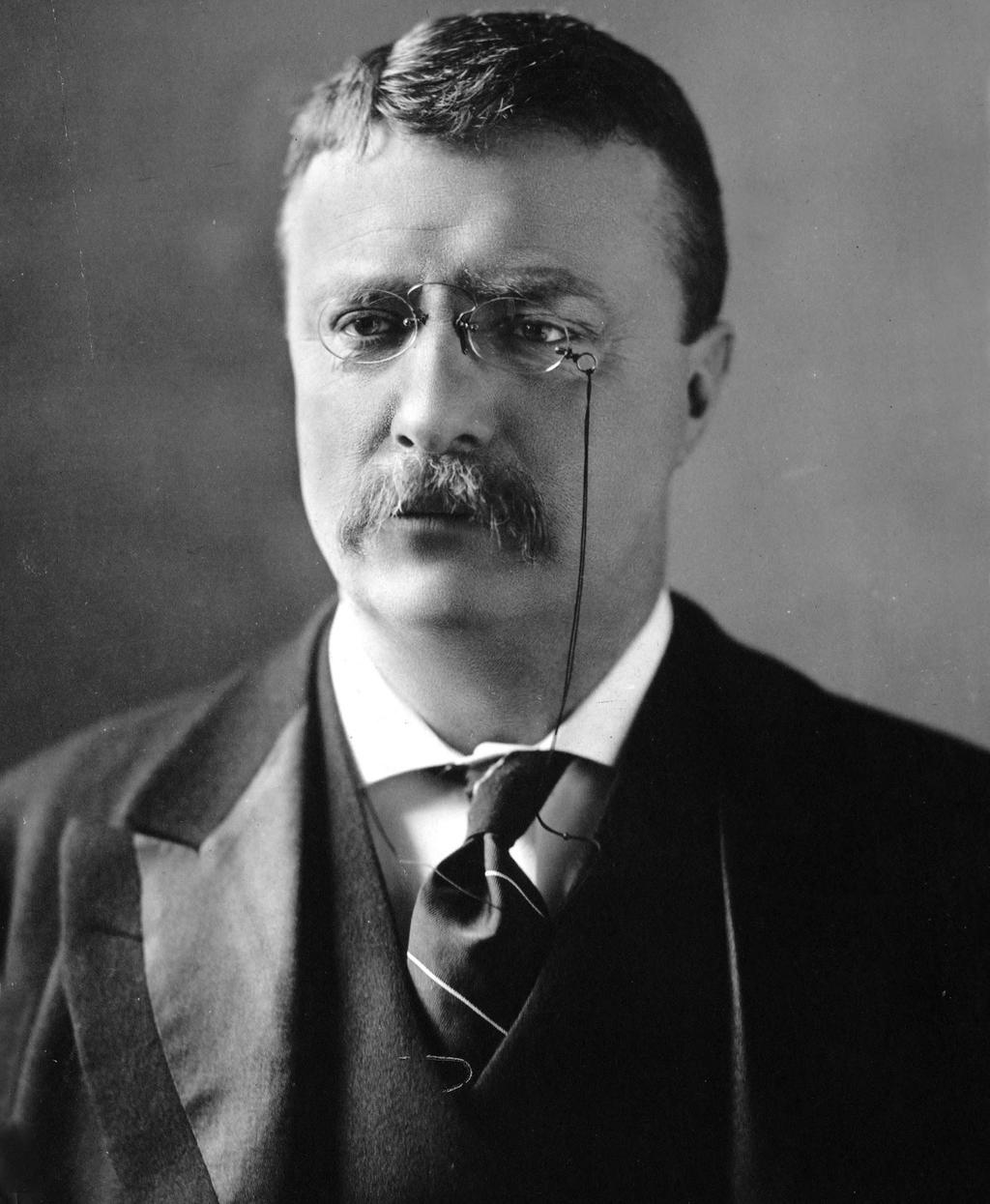 Governor Theodore Roosevelt Reforms took place at the state level puts public