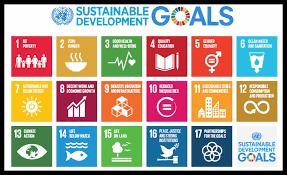 The UN Agenda for Sustainable Development Strengthen the means of implementation and revitalize the