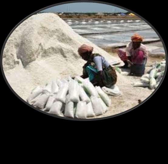 Gandhi used Salt as a Powerful Weapon British got High Income from Salt Tax Heavy burden for Poor