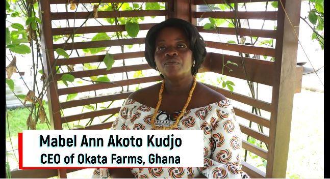 Mabel Ann Akoto Kudjo, partner of the Innovation Centre Ghana, via video Furthermore, the relation between women s land rights and economic empowerment were discussed.