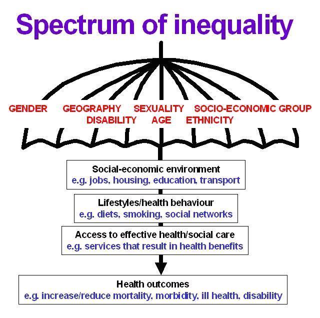 deprivation, low educational attainment and unhealthy lifestyle (high smoking, poor diet, low physical activity) are all interrelated determinants of its poor health outcomes and high level of health