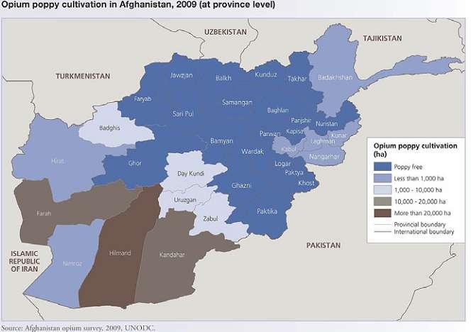 Taliban Dominates: Opium Poppy cultivation in Afghanistan, 2009