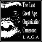 The Last Great Ape Organization LA GA May 2010 Report Highlights LAGA presents during the conference of the Interpol Environmental working group in Ivory Coast.