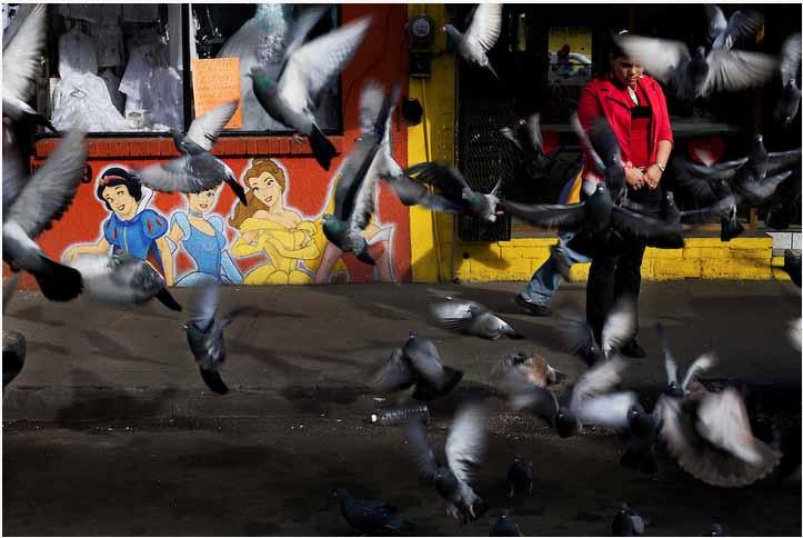 David Rochkind A girl stands on a street in downtown Nogales,Sonora surrounded by pigeons and paintings of