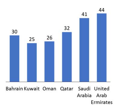 Company types / Size of turnover GCC Country of Activity Most of the surveyed businesses were large corporations.