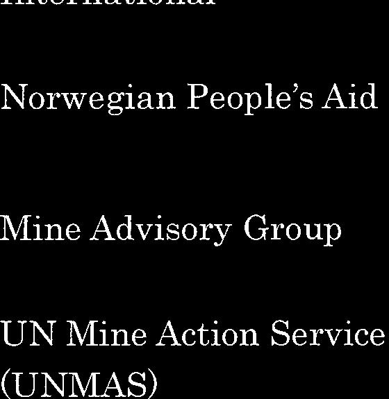 Mine Advisory Group UN Mine Action