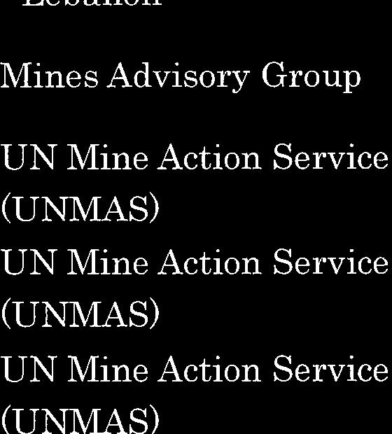 Mine Action Service Palestine UN