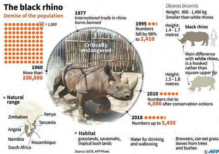 Rhinos and their conservation in Kenya ENVIRONMENT 13 PARIS Once it roamed Asia and Africa in the tens of thousands. Today, the rhinoceros has been driven to near-extinction.