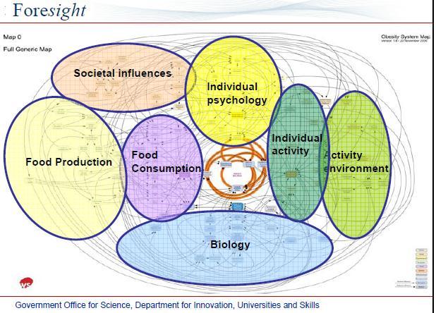 UK Foresight report on obesity an attempt to capture complexity