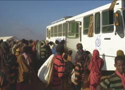 Host Communities - IOM is taking measures to peacefully resolve host community conflict after a series of incidents took place which culminated in a clash between Dadaab residents on 3 September in
