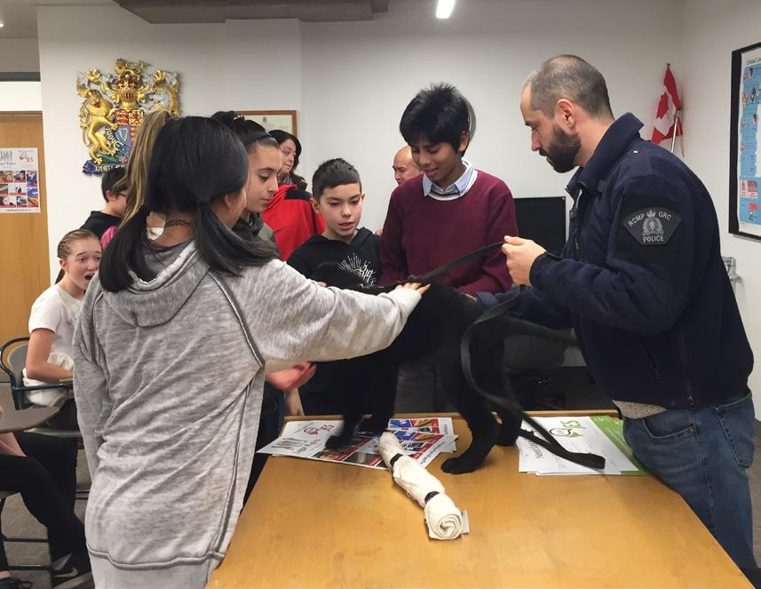 Klaus the police dog co-presented to a Grade 6 class from A. J. McLellan Elementary School.