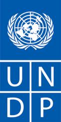 Call for Proposals Notice Grants to Iraqi NGOs Enhancing protection for vulnerable women and girls among the Syrian Refugees from Sexual Gender Based Violence and Trafficking UNDP is pleased to