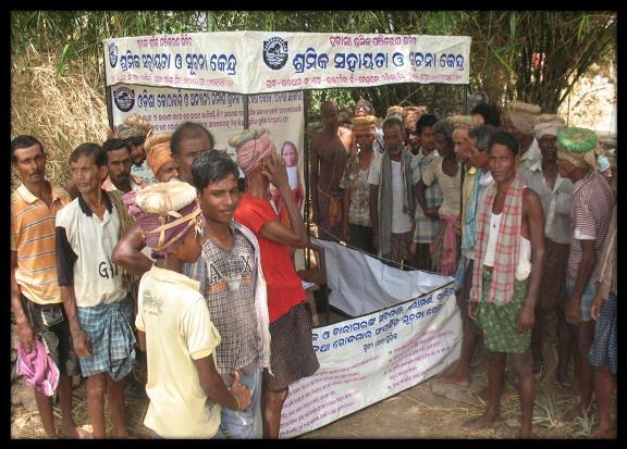 Migration and Labour Profile of 17 Panchayats of Rajkanika Block (Kendrapara