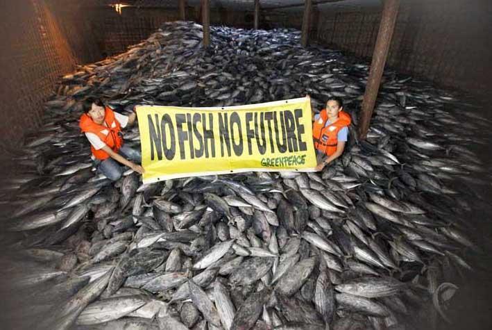 In 2008, the organization staged a public disturbance and dumped tonnes of fish heads in