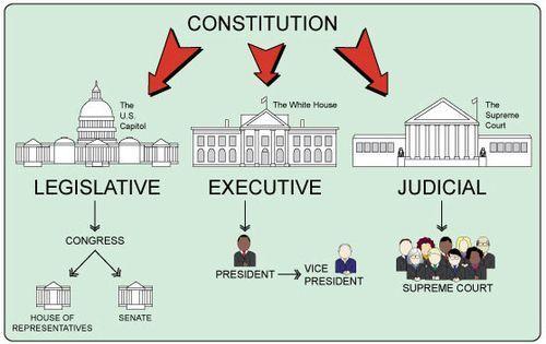 Three Branches of the US Government The Three Branches of Government include the executive, the legislative, and the judicial branches.