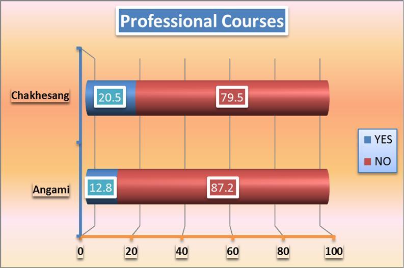 It shows that most of the educated Angami respondents, despite their educational qualifications, have not taken up any coaching classes (88.3%), technical training (76%), and professional courses (87.