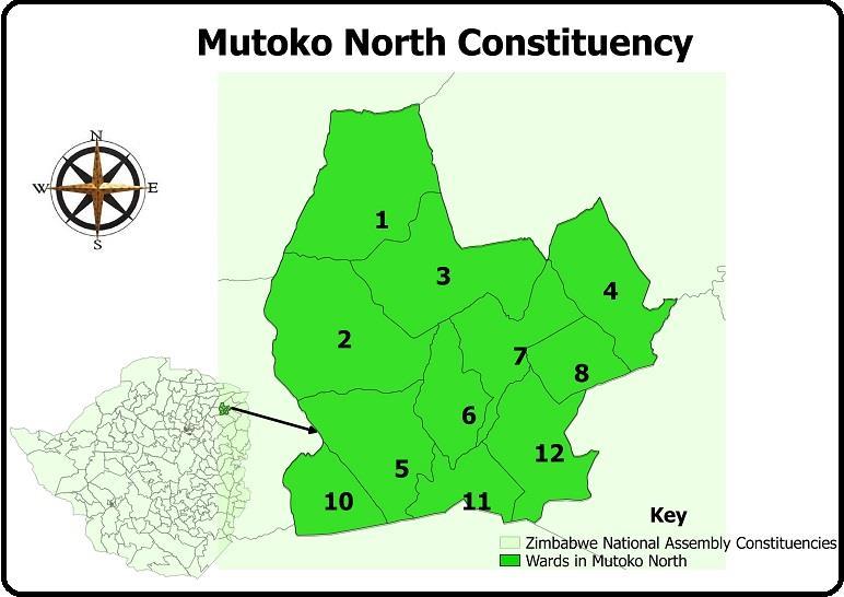 Mugoma of NCA Party, Boniface Mushore of the MDC-Alliance, and Rambidzai Nyabote of the ZANU-PF party.