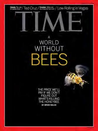 Here are some interesting news articles and even artworks featuring bees.