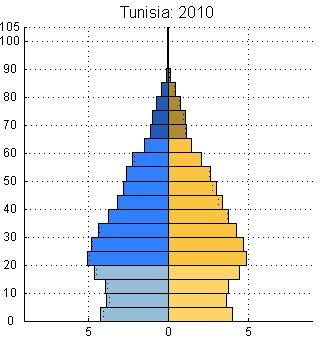 demographic dividend as shown by Tunisia s