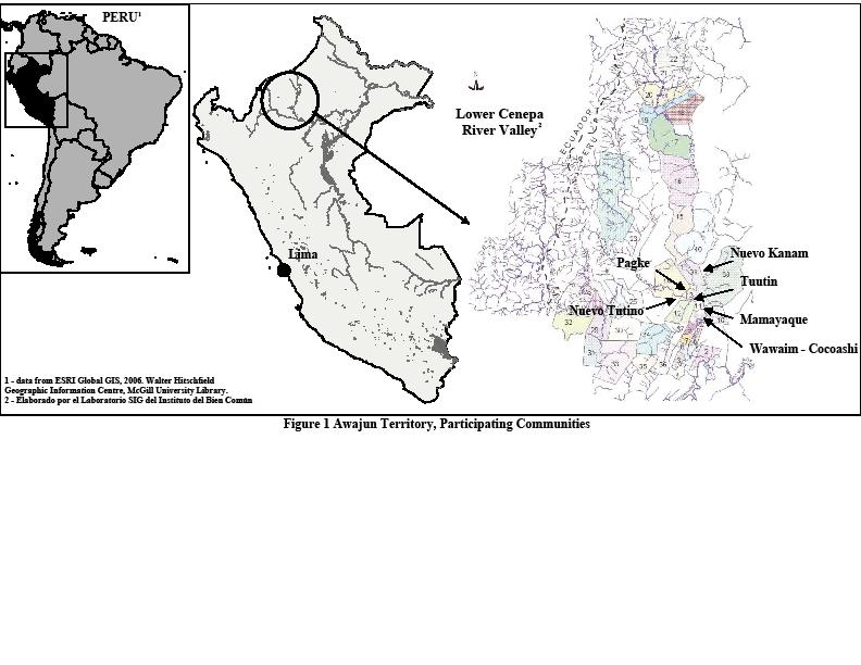 Awajun; Condorcanqui in the Lower Cenepa region, Peruvian Amazon Source: Creed-Kanashiro H, Roche M, Tuesta Cerron I, Kuhnlein HV: Traditional Food Systems of an Awajun Community in Peru.