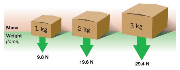 5.1 Gravity Ø The force of gravity on an object is called weight.