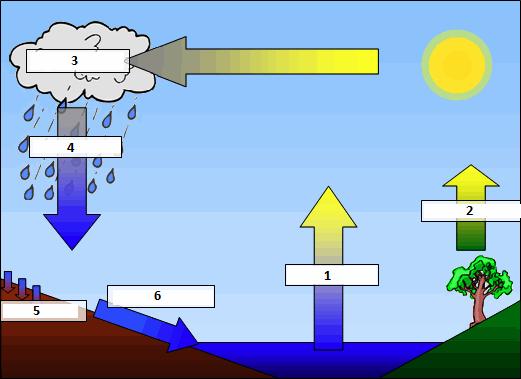 4. Correctly label the following diagram of the water cycle. The Water Cycle (12 Marks) 1.... 2.... 3.... 4.... 5...... 6.