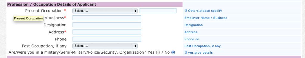 Profession/Occupation Details of Applicant Present Occupation: If retired, please select Retired from the drop down menu and then fill in NA for anything with red stars next to it.