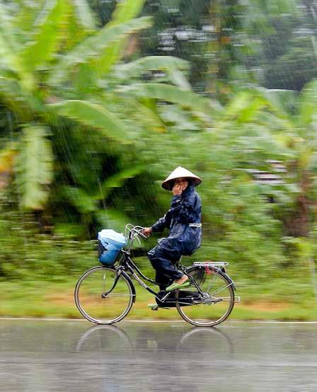 DELIVERING AS ONE 28 CLIMATE CHANGE AND ENVIRONMENT Climate change continues to present major challenges for Viet Nam.