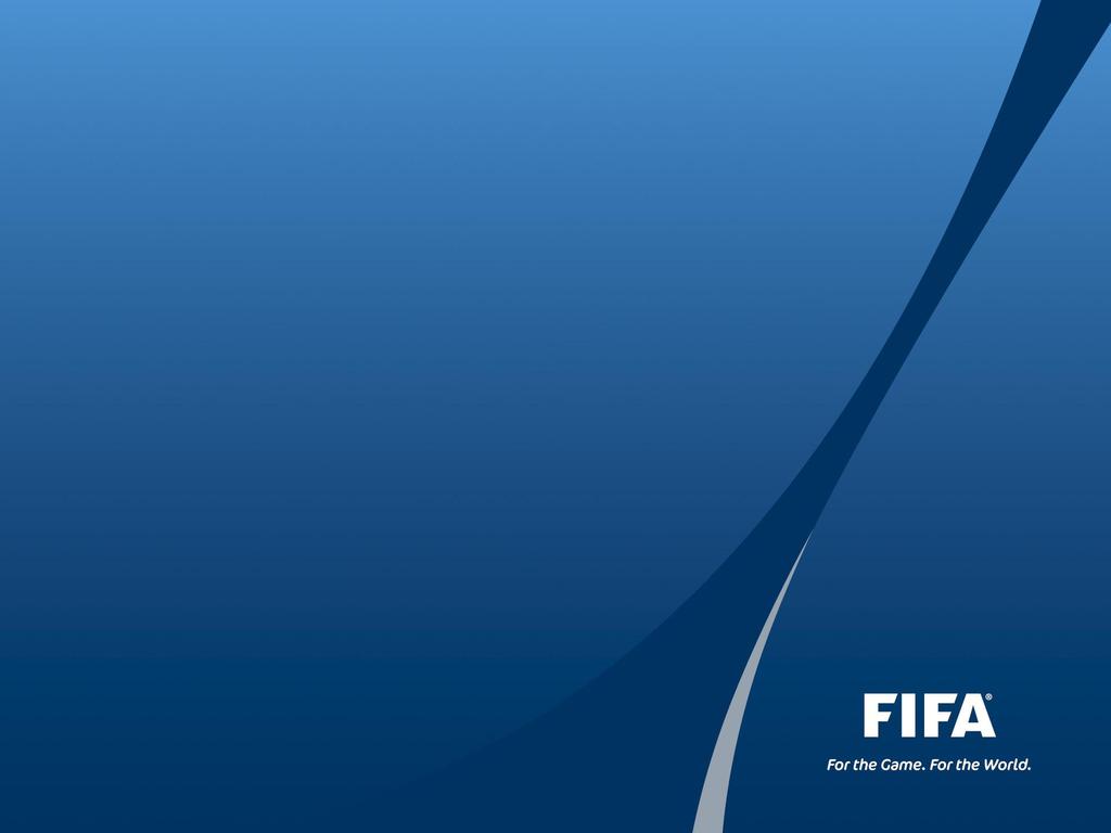 FIFA EXECUTIVE COMMITTEE